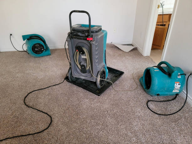 Best Water damage restoration near me  in Castleton On Hudson, NY