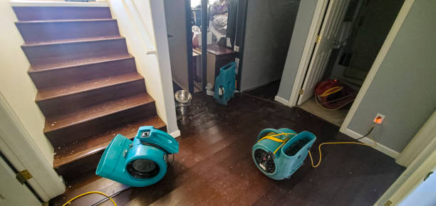 Best Sewage cleanup and water damage restoration  in Castleton On Hudson, NY