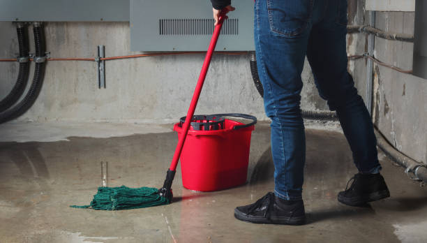 Best Water damage cleanup near me  in Castleton On Hudson, NY