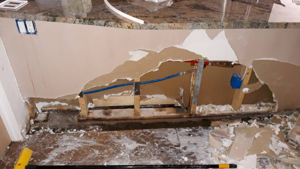 Best Water damage restoration mold remediation  in Castleton On Hudson, NY