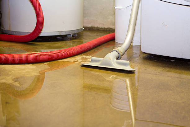 Best Professional water damage repair  in Castleton On Hudson, NY