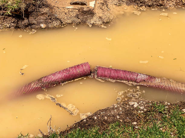 Best Water damage cleanup near me  in Castleton On Hudson, NY